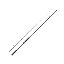 Canne Spinning Daiwa BG Tenya Game (133g - 2m40 - 10 - 42g - 2)