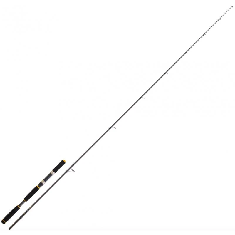 Canne Spinning Mer Daiwa Legalis Seabass AF (144g - 2m59 - 5-21g - 2 - 134cm) 1 Canne Spinning Mer Daiwa Legalis Seabass AF (144g - 2m59 - 5-21g - 2 - 134cm)
