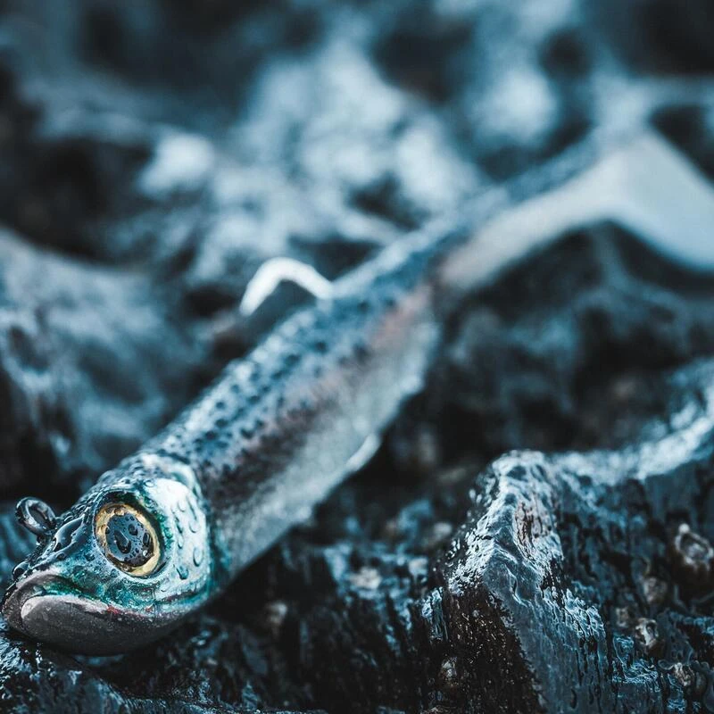 COMBO Leurres Souples Shad Texan ANCHO 120 50g Dos Noir/dos Blanc Pêche En Mer 4 COMBO Leurres Souples Shad Texan ANCHO 120 50g Dos Noir/dos Blanc Pêche En Mer – Image 4