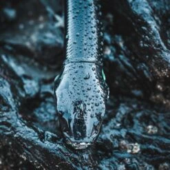 COMBO Leurres Souples Shad Texan ANCHO 120 50g Dos Noir/dos Blanc Pêche En Mer 11 COMBO Leurres Souples Shad Texan ANCHO 120 50g Dos Noir/dos Blanc Pêche En Mer -Pêche Produits Magasin combo leurres souples shad texan ancho 120 50g dos noirdos blanc peche en mer 4