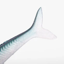 COMBO Leurres Souples Slug SLUGEELO 160 Ayu/Bleu -Pêche Produits Magasin combo leurres souples slug slugeelo 160 ayubleu 4