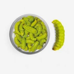 ESCHE PÊCHE DE LA TRUITE TEIGNES MOMIFIEES VERTE